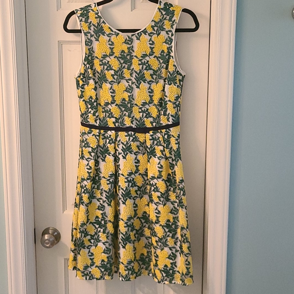 Draper James Dress